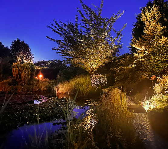 tuin verlicht met verschillende kleuren