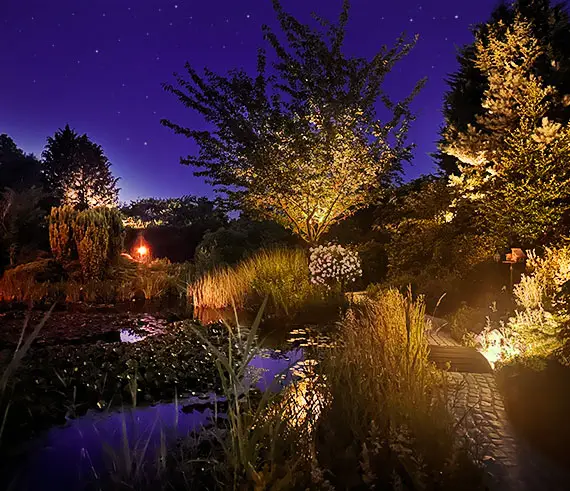 Wellness tuin vijver met sterrenacht