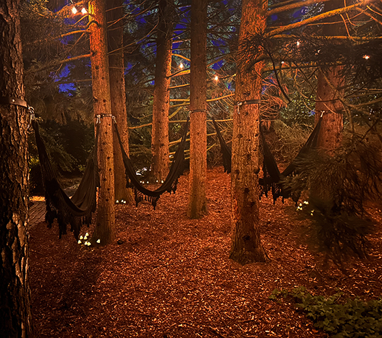 Hangmatten bos in de nacht met verlichte paddestoelen
